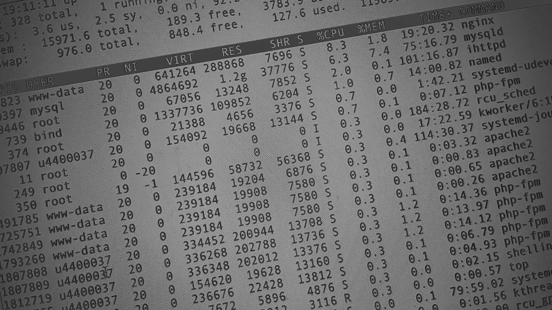 Настройка сервера в Балее Настройка сервера в Балее